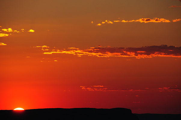 DSC_1221.jpg (4288x2848) NIKON D300 - 18-200mm f/3.5-5.6 // F8 // 1/250 sec // ISO 400 // 200,0 mm // no Flash // 2008:07:07 19:49:31 DSC_1221.jpg (4288x2848) NIKON D300 - 18-200mm f/3.5-5.6 // F8 // 1/250 sec // ISO 400 // 200,0 mm // no Flash // 2008:07:07 19:49:31